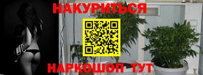 ешки Новокубанск