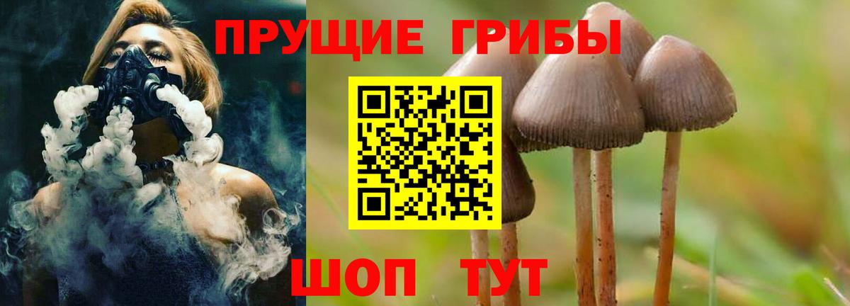 даркнет сайт  Галлюциногенные грибы прущие грибы  Галлюциногенные грибы Psilocybe  Вход с VPN  Янаул 